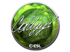 COLDYY1 (Foil) | Katowice 2019 image