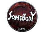 somebody (Foil) | Katowice 2019 image