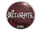 xccurate | Katowice 2019 image
