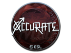 xccurate (Foil) | Katowice 2019 image