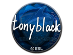 tonyblack (Foil) | Katowice 2019 image