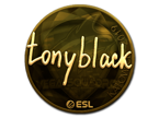 tonyblack (Gold) | Katowice 2019 image