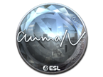 aumaN (Foil) | Katowice 2019 image