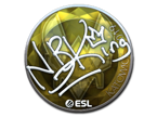 NBK- (Foil) | Katowice 2019 image
