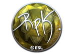 RpK (Foil) | Katowice 2019 image
