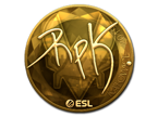 RpK (Gold) | Katowice 2019 image