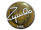 ZywOo | Katowice 2019 image