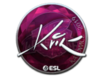 Kvik (Foil) | Katowice 2019 image