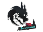 Team Spirit | Stockholm 2021 image