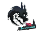 Team Spirit (Foil) | Stockholm 2021 image