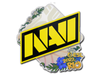 Natus Vincere | Rio 2022 image