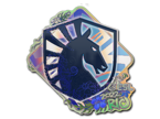 Team Liquid (Holo) | Rio 2022 image