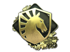 Team Liquid (Gold) | Rio 2022 image