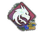Team Spirit (Glitter) | Rio 2022 image