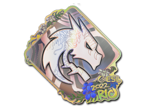 Team Spirit (Holo) | Rio 2022 image