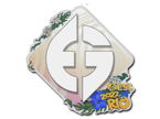Evil Geniuses | Rio 2022 image
