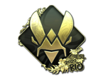 Vitality (Gold) | Rio 2022 image