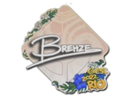 Brehze | Rio 2022 image