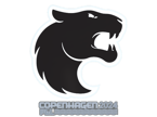 FURIA | Copenhagen 2024 image