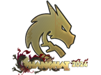 Team Spirit (Gold) | Shanghai 2024 image