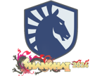 Team Liquid | Shanghai 2024 image