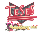 TeSeS | Shanghai 2024 image