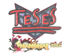 TeSeS (Holo) | Shanghai 2024 image