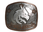Team Spirit (Foil) | Austin 2025 image
