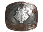 G2 Esports (Foil) | Austin 2025 image