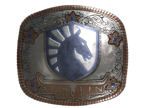 Team Liquid (Foil) | Austin 2025 image
