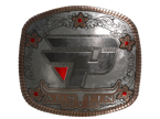 paiN Gaming (Foil) | Austin 2025 image