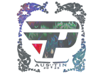 paiN Gaming (Holo) | Austin 2025 image