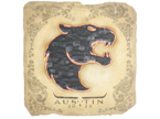 FURIA | Austin 2025 image