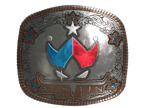 Wildcard (Foil) | Austin 2025 image