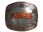 NRG (Foil) | Austin 2025 image