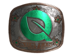 FlyQuest (Foil) | Austin 2025 image