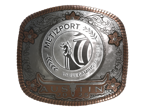 Metizport (Foil) | Austin 2025 image