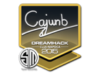 cajunb | Cluj-Napoca 2015 image