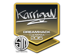 karrigan | Cluj-Napoca 2015 image