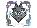 Heavygod (Holo) | Austin 2025 image