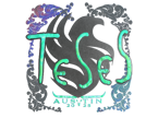 TeSeS (Holo) | Austin 2025 image