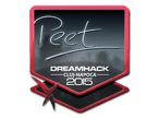 peet (Foil) | Cluj-Napoca 2015 image