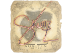 skullz | Austin 2025 image