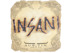 insani | Austin 2025 image
