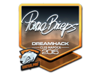 pashaBiceps (Foil) | Cluj-Napoca 2015 image